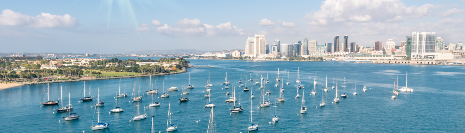 fleet of yachts docked on the water with San Diego skyline in the BG